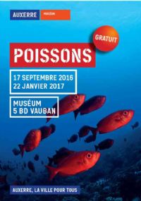 exposition POISSONS. Du 17 septembre 2016 au 22 janvier 2017 à AUXERRE. Yonne. 